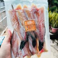 ราคา ปลาช่อนแดดเดียว ขนาด 500 กรัม 2 3 ตัว แพค เค็มน้อย อร่อย ใหม่ สด สะอาด ไม่ใส่สารกันเสีย (21275480265)