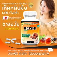 ราคา ส่งฟรี พร้อมส่ง เห็ดหลินจือผสมถั่งเช่า ชนิดแคปซูล 1 กระปุก 30 แคปซูล บำรุงร่างกาย เสริมกำลัง บรรเทาอาการอ่อนเพลีย (19103968599)