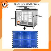 ราคา กรงสแตนเลส กรงสุนัข ไซส์XL 125 79 100cm สำหรับพันธุ์กลาง ใหญ่ กรงหมา แบบพับประกอบ (12519803824)