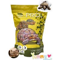 ราคา อาหารเต่า บก G PRO GANZHU ขนาด 1KG (15570934266)