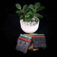 ราคา กล่องECUหมกตลับเกม เปิดรอบ 13000รอบ W110i 2019 Dream 2019 (19478707402)