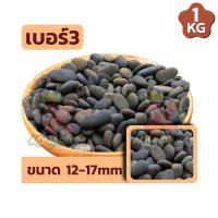 ราคา หินมังกร หินจัดสวน หินจัดสวนถาด หินตกแต่งตู้ปลา ขนาด 1 Kg (18053981206)