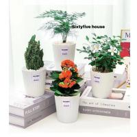 ราคา sixtyfivehouse กระถาง ส่งด่วนทุกวัน กระถางต้นไม้ รดน้ำอัตโนมัติ กระถางไม่ต้องรดน้ำ รดนํ้าเอง (11615501212)