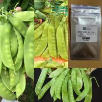 ราคา เมล็ด เมล็ดถั่วหิมะ Green Peas Snow Peas ถั่วหิมะ ถั่วลันเตา ถั่วลันเตาหิมะ เมล็ดถั่วลันเตา เมล็ดผัก เมล็ดพันธุ์ ถั่วหวาน 10 เมล็ด (7157542565)