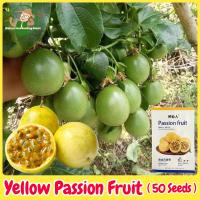 ราคา เมล็ดพันธุ์ เสาวรส สีเหลือง บรรจุ 50 เมล็ด Yellow Passion Fruit Seeds for Planting ผลไม้เสาวรส เมล็ดเสาวรส F1 เมล็ดพันธุ์แท้ OP เมล็ดผลไม้ ผลไม้อินทรีย์ Climbing Plants ต้นไม้ผลกินได้ ต้นไม้กินผล เมล็