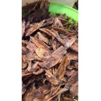 ราคา ปลาหมึกแห้ง หมึกกะตอยแห้ง หมึกกะตอย หมึกกลมไดร์ หมึกจะมีรสชาติไม่เค็มมาก ไม่แข็ง สดใหม่ จากระยอง (10684944672)