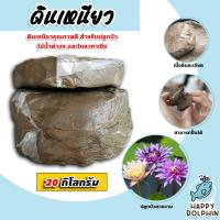 ราคา ดินเหนียวปลูกบัว มีให้เลือก 1 23กิโลกรัม ดินเหนียว ดินเหนียวปลูกโคโลคลาเซีย ดินเหนียวปั้น ดินเหนียวคุณภาพดี ดินเหนียวปลูกไม้น้ำ (18705281905)