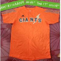 ราคา 2ndงานแบรนด์แท้ เสื้อยืด ทรงเบสบอล เนื้อดี สีไม่ด่าง สีสดมาก ใหม่ 98 ANY18112323A009 (20971826062)