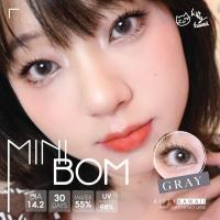 ราคา คอนแทคเลนส์ Kitty kawaii รุ่น Mini Bom Gray (20069203529)