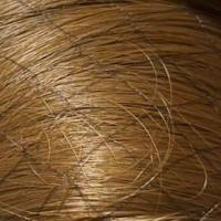 ราคา ฟรีของแถม วิกผมผู้หญิง ผมยาวประบ่า แสกกลาง มีให้เลือกสองสี Lady wigs WC131 WEWIGS (21323193962)