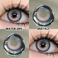 ราคา COD FUNSACHY SUZDAL Pink Contact Lens1Pair 14 2mm Gradient Contact Lens Color Yearly Soft lens (21151718463)