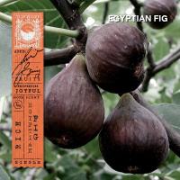 ราคา KARMAKAMET Original Aromatic Glass Candle คามาคาเมต เทียนหอม เทียน สร้างบรรยากาศ กลิ่นหอม บ้านหอม (13248192435)