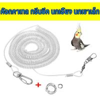 ราคา สายจูงนกแก้ว สายคล้องขานก สายจูงนกแบบยืด สายยืดคล้องขานก สายจูงนก นกแก้ว ยาว 3 เมตร พร้อมห่วงขานก (19999167248)