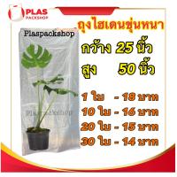 ราคา แบ่งขายเป็นใบ ถุงไฮเดน ถุงHD ขนาด 25x50 นิ้ว เนื้อขุ่น เกรดB ถุงใส่ต้นไม้ ถุงใส่ของ เหนียว ขุ่น ใส่ต้นไม้ ใส่เก็บของ ใส่สินค้า ใส่เสื้อผ้า (9658974847)