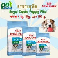 ราคา 4kg 2kg 800g อาหารสุนัข Royal Canin Puppy Mini โรยัลคานิน อาหารสำหรับ สุนัข ลูกสุนัข หมา ลูกหมา ขนมสุนัข (19555855832)