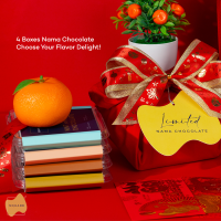ราคา Lunar Nama Chocolates Set (21372908058)