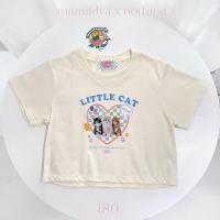 ราคา Spot Parcel Post crop top oversize label notthing (21030991882)