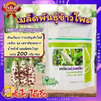 ราคา เมล็ดพันธุ์ข้าวโพด เหนียวม่วงแต้ม 200กรัม ข้าวโพดข้าวเหนียวผสม ข้าวโพดข้าวเหนียว ปลูกได้ตลอดปี ฝักสด เหนียว นุ่ม รสชาติอร่อย homes (20359939301)