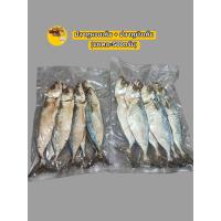 ราคา ปลาทูเค็ม ปลาทูมันเค็ม500กรัม ปลาทูหอมเค็ม500กรัม (20090176202)