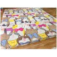 ราคา ที่นอนท็อปเปอร์ ถอดซักได้ 5 ฟุต 6 ฟุต หนา5 นิ้ว ที่รองนอน ที่นอนปูพื้น ที่นอนปิคนิค ฟูกนอน (19330156018)