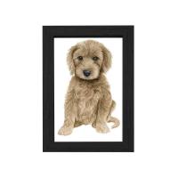 ราคา HHsociety กรอบรูป กรอบรูปมินิมอล กรอบรูปลายไม้ 4x6 6x8 นิ้ว และ A4 สีขาว สีดำ กรอบรูปไม้ กรอบรูปใส แต่งบ้าน (18450543923)