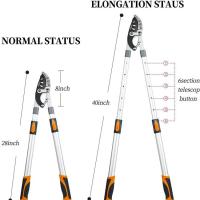 ราคา กรรไกรตัดกิ่งไม้หนาตัดต้นไม้สูงให้มีความสูงมากเพื่อตัดแต่งกิ่งSK5 กรรไกรตัดกิ่งไม้ ยืดหดได้ ด้ามยาว ตัดกิ่งไม้สูง มีดกรรไกรตัดกิ่งไม้ด้ามยาว กรรไกรตัดแต่งกิ่งแบบยาวพับเก็บได้กรรไกรตัดแต่งกิ่งในสวนเยอร