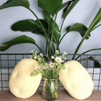 ราคา IJVBTV น่ารักของขวัญวันเกิดน่ารักใบหน้าแครอทข้าวโพดพริกผักของเล่นตุ๊กตาผักจำลองพืชตุ๊กตาตุ๊กตามือ (17019736309)