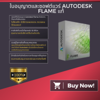 ราคา การส่งมอบในวันเดียวกัน Autodesk Flame Windows ใบอนุญาตแบบแท้ ไม่ใช่แครก (20895608946)