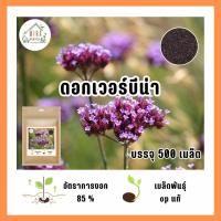 ราคา เมล็ดพันธุ์ ดอกเวอร์บีน่า บรรจุ 500 เมล็ด (21035496704)
