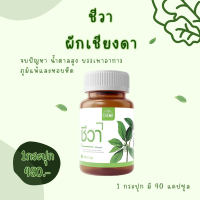 ราคา ผักเชียงดาCHEWA เบาหวาน ผักเชียงดา ชีวา ผักเชียงดาแคปซูล เชียงดาแคปซูล 1 กระปุก 40แคปซูล (20454189992)