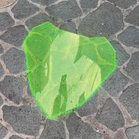 ราคา ชิวหน้าxmax ทรงซิ่ง สำหรับรถปี18 22 ชิวหน้าyamaha xmax300 ชิวบังลมหน้าทรงสั้นศูนย์ Yamaha for Xmax ชิวบังลมหน้า X max300 ทรงสั้น Sports ของแต่งXmax (13546296520)