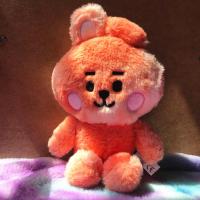ราคา BTS Anime BT21 Plush toy Cute Cartoon Baby Cotton biscuits Horse Koala Candy Kawaii Doll Plushies Toy Doll KPOP Gift 26cm (13048755526)