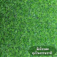 ราคา หญ้าเทียม หญ้าเทียมตกแต่งบ้าน ตกแต่งสวน ตกแต่งร้าน หญ้าเทียมราคาถูก (17320147625)