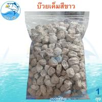 ราคา บ๊วยเค็มสีขาว 500กรัม 1แพ็ค บ๊วยพุทราเค็ม บ๊วยเค็ม บ้วยเค็ม บ๊วย บ้วย บ๊วยอบ บ๊วยเค็มอบ บ๊วยพุทรา ผลไม้อบแห้ง ผลไม้แปรรูป ของฝาก ประจวบ (21359664610)