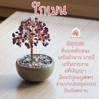 ราคา ต้นไม้ หินมงคล เสริม ฮวงจุ้ย โชคลาภ ร่ำรวย ความสูง 11 CM ของมงคล ของขวัญ ต้นไม้มงคล อเมทิสต์ โรสควอตซ์ ต้นไม้ปลอม (21363630304)