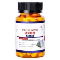 ราคา แคปซูลไนไตรต์แบคทีเรีย30 80ชิ้นสำหรับผงแห้งเข้มข้นของน้ำจืดและทะเลตู้ปลาใส่น้ำตู้ปลา (18374424605)