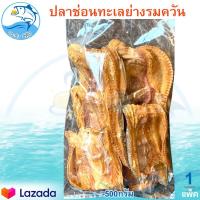 ราคา ปลาช่อนทะเลย่างรมควัน 500กรัม 1แพ็ค ปลาช่อน ปลาช่อนย่าง ปลาย่าง ปลารมควัน ปลาช่อนย่างรมควัน ปลาช่อนทะเล ปลาช่อนรมควัน ปลาแห้ง อาหารทะเล (12583096891)