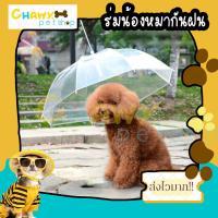 ราคา สายจูง ร่มกันฝน สายจูงสัตว์เลี้ยง สายจูงหมา สายจูงแมว (16317115698)