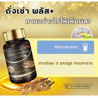 ราคา ส่งด่วน ของแท้ ราคาถูก อาหารเสริม UMB cordyceps plus ถั่งเช่า พลัส 1 กระุปุก 30 แคปซูล (18360313996)