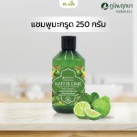 ราคา แชมพูมะกรูด 250 กรัม ภูมิพฤกษา (21057177670)