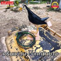 ราคา 2ชิ้น ชุดดักนกกวัก ครืนดักนกกวัก ชุด21บ่วง นกกวักยาง (20239280840)