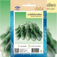 ราคา เมล็ดพันธ์ุ มะเขือไข่เต่าเขียว ตราเจียไต๋ (19493779242)