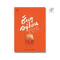 ราคา ช้างกูอยู่ไหน (20764250097)