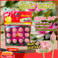ราคา ปุ๋ยบัว ปุ๋ยดอกบัว ปุ๋ยไม้น้ำ ตรา ช่องาม สูตรเพิ่มดอก เร่งดอก สีสวยสด ดอกใหญ่ เร่งใบ เร่งต้น แตกหน่อ น้ำใส ไม่เป็นอันตรายต่อปลา บรรจุ 12 เม็ด homes (9666770261)