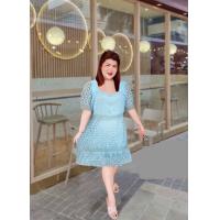 ราคา เดรสลูกไม้ไซส์ใหญ่ เดรสไซส์ใหญ่ (21194045490)