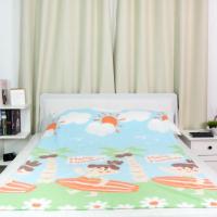 ราคา พร้อมส่ง ผ้าห่มฟลีซบูมบูม คละลาย ขนาด50x75 นิ้ว ผืนละ99บาท (18215350634)