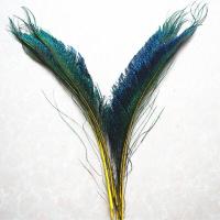 ราคา 20ชิ้น ล็อตขนนกยูงปีก12 14 งานหัตถกรรมขนนกสำหรับงานฝีมือช่างประปา Pluma ขนนกยูง (13443769833)