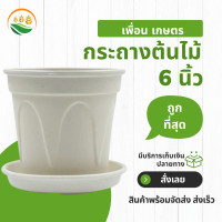 ราคา กระถางต้นไม้มินิมอล กระถางต้นไม้พลาสติก กระถางต้นไม้ใหญ่ 6 นิ้ว กระถางลายย้อย สีขาว (13245252581)