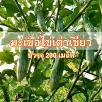 ราคา เมล็ดพันธุ์ มะเขือลาย มะเขือไข่เต่าเขียว ไข่เต่าพื้นบ้าน 200 เมล็ด 10 เเถม 1 คละได้ (7836190270)