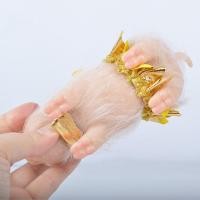 ราคา ตุ๊กตาหมูซิลิโคน6นิ้วตุ๊กตาหมูซิลิโคนขนาดเล็กนุ่มเหมือนจริงหมูซิลิโคน Silikon Reborn น่ารักขนาดเล็กสำหรับเด็กของขวัญ Silikon Reborn หมูซิลิโคนตุ๊กตาหมูซิลิโคนเหมือนจริงสำหรับเป็นของขวัญสำหรับเด็ก (201